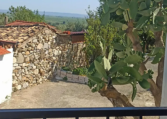 Lotus House